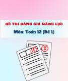 Đề thi đánh giá năng lực môn Toán lớp 12 năm 2023 (Đề 1)