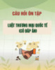 Câu hỏi ôn tập Luật Thương mại quốc tế (Có đáp án)