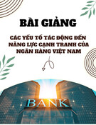 Bài giảng Các yếu tố tác động đến năng lực cạnh tranh của Ngân hàng Việt Nam